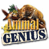  Animal Genius spel
