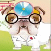 Dr.Bulldog's Pets Hospital spel