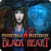 Nightfall Mysteries: Zwart Hart game