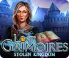 Lost Grimoires: Stolen Kingdom spel