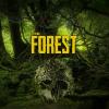 The Forest spel