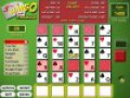 Gratis downloaden 5 Card Slingo screenshot 1