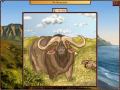 Gratis downloaden World Riddles: Animals screenshot 3