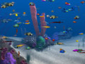Gratis downloaden Big Kahuna Reef screenshot 2