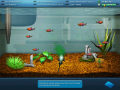 Free download FishCo screenshot
