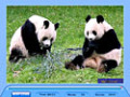 Gratis downloaden Jig Swap Puzzle screenshot 1