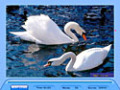 Gratis downloaden Jig Swap Puzzle screenshot 3