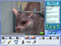 Gratis downloaden Pet Pals: New Leash on Life screenshot 1