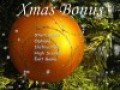 Gratis downloaden Xmas Bonus screenshot 2