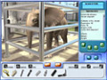 Gratis downloaden Zoo Vet 2: Endangered Animals screenshot 1