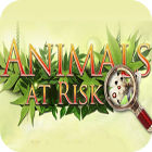 Animals At Risk spel