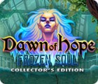 Dawn of Hope: The Frozen Soul Collector's Edition spel