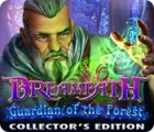 Dreampath: Guardian of the Forest Collector's Edition spel