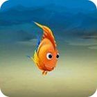 Fishdom 3 Collector's Edition spel