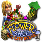 Flower Shop: Big City Break spel