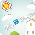 Fly, Birdie spel