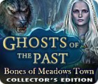 Ghosts of the Past: Bones of Meadows Town Collector's Edition spel