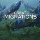 Great Migrations spel