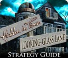 Hidden in Time: Looking-glass Lane Strategy Guide spel