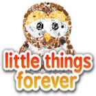 Little Things Forever spel