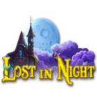 Lost In Night spel