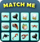 Match Me spel