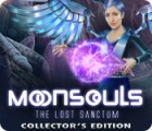 Moonsouls: The Lost Sanctum Collector's Edition spel