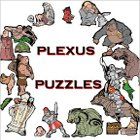 Plexus Puzzles spel