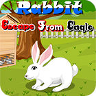 Rabbit Escape From Eagle spel