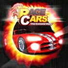 Race Cars The Extreme Rally spel