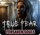 True Fear: Forsaken Souls spel