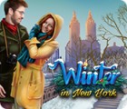 Winter in New York spel