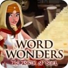 Word Wonders spel