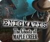 Enigmatis: De Geesten van Maple Creek game