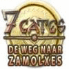 7 Gates: De Weg naar Zamolxes spel