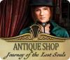 Antique Shop: Journey of the Lost Souls spel