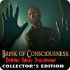 Brink of Consciousness: Dorian Gray Syndrome Collector's Edition spel