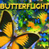 Butterflight spel