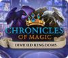 Chronicles of Magic: The Divided Kingdoms spel