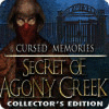 Cursed Memories: The Secret of Agony Creek Collector's Edition spel