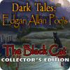 Dark Tales: Edgar Allan Poe's The Black Cat Collector's Edition spel