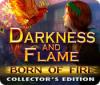 Darkness and Flame: Born of Fire Collector's Edition spel