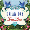Dream Day True Love spel