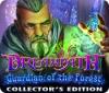 Dreampath: Guardian of the Forest Collector's Edition spel
