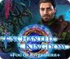 Enchanted Kingdom: Fog of Rivershire spel