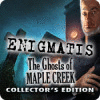 Enigmatis: The Ghosts of Maple Creek Collector's Edition spel