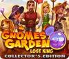 Gnomes Garden: Lost King Collector's Edition spel