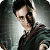 Harry Potter: Fight the Death Eaters spel