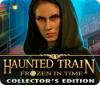 Haunted Train: Frozen in Time Collector's Edition spel