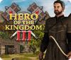 Hero of the Kingdom III spel
